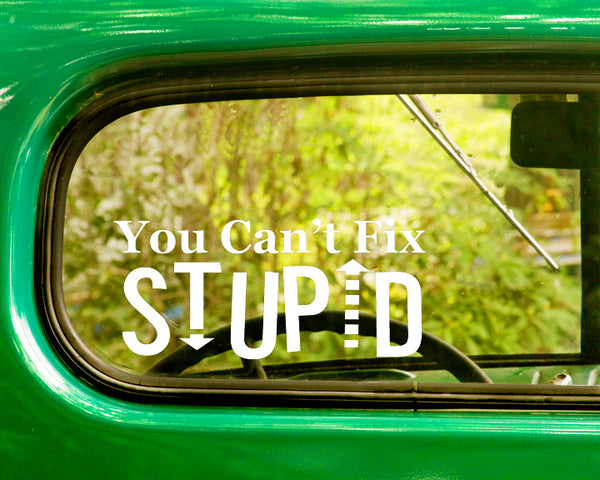 2 YOU CAN'T FIX STUPID Decals Stickers - The Sticker And Decal Mafia